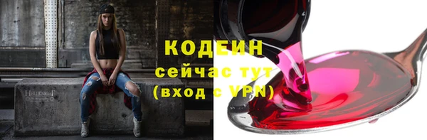 твердый Лагань