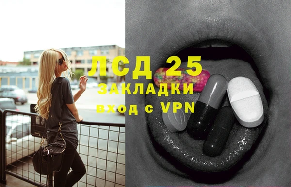 твердый Лагань