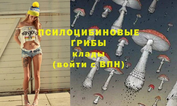 твердый Лагань