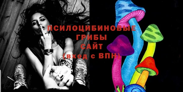 твердый Лагань